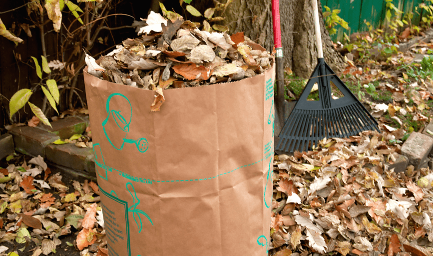 Yard Waste Removal